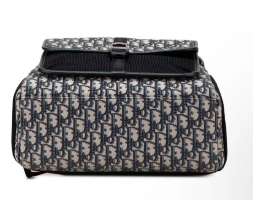 Dior backpack