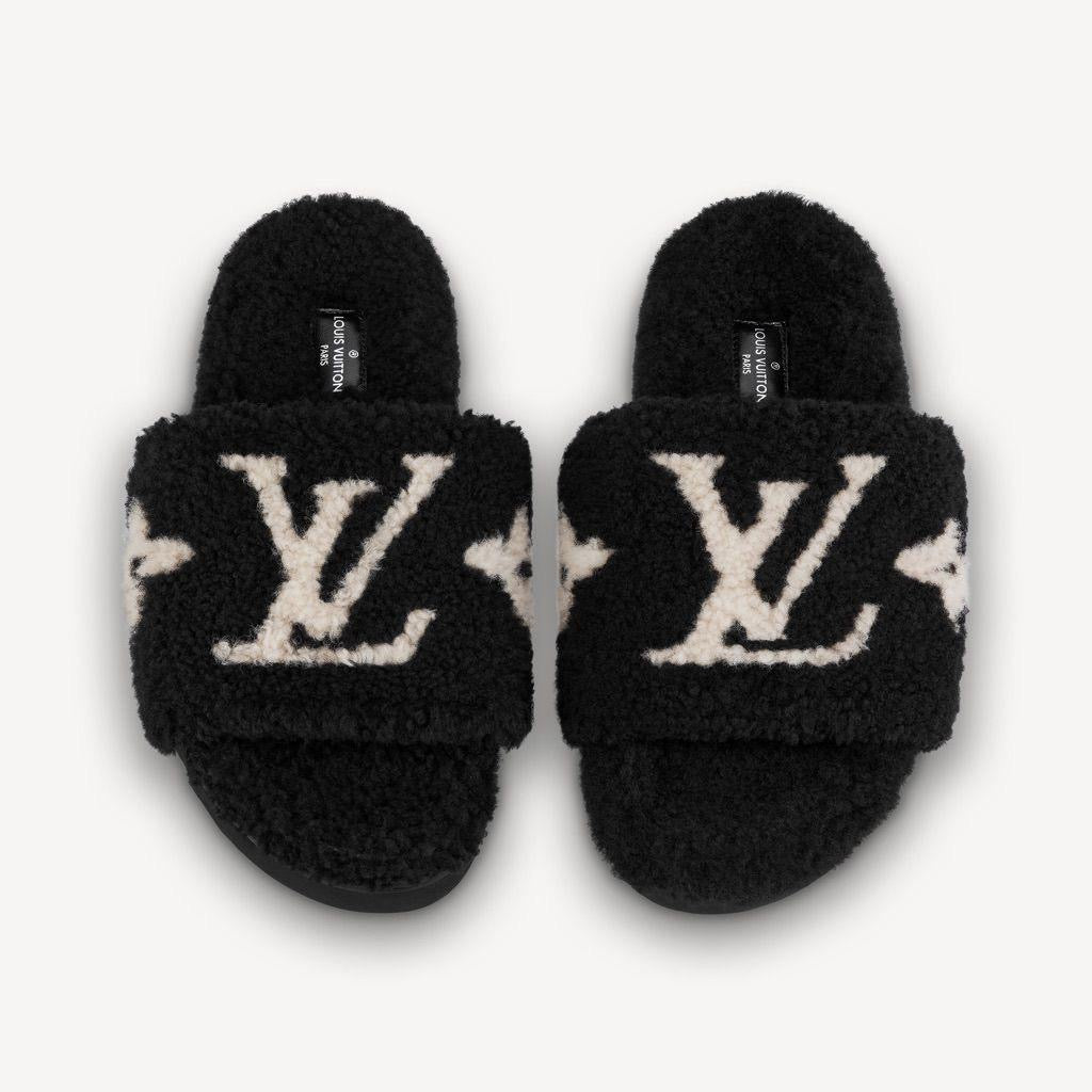 LV Slides